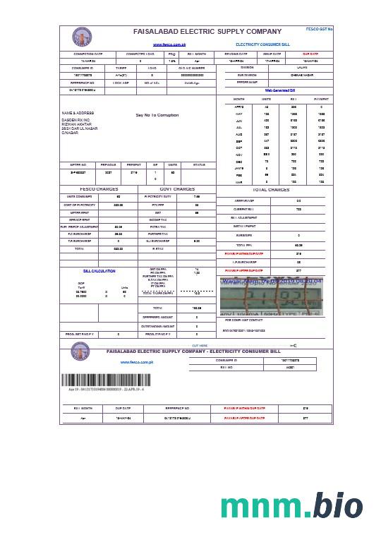 PAKISTAN FAISALABAD rachunek za usługi komunalne Word i szablon PDF